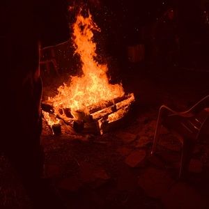 Meet your Posher, Harlee